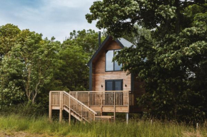 The Tree Houses at Madeira in Fife